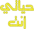 تشاد الدولة الوحيدة الناطقة بالعربية خارج إطار جامعة الدول العربية 119716